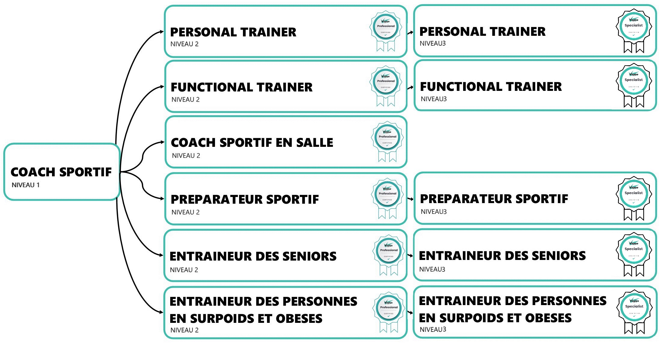 Organisation-cursus-training Organisation-cursus-training